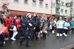 230219_Faschingsumzug-98