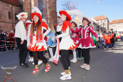A7304723_a-Faschingsumzug