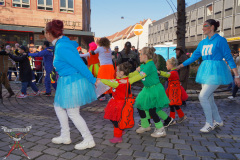 A7304741_a-Faschingsumzug