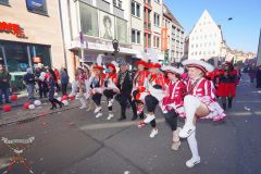 A7304800_a-Faschingsumzug