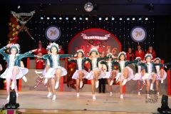 260117_Prunksitzung-3-106_klein