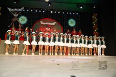 260117_Prunksitzung-3-91_klein