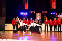 A7304218-Rosenball