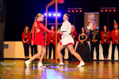 A7304245-Rosenball