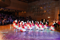A7304331-Rosenball