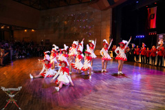 A7304336-Rosenball
