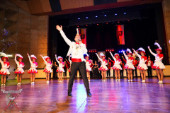 A7304350-Rosenball