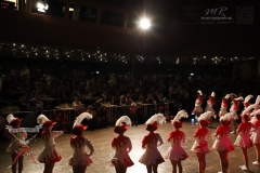 240210_Stadthalle_Russen-Ball-51_Logo