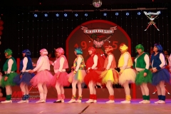 200117_Prunksitzung-2-367