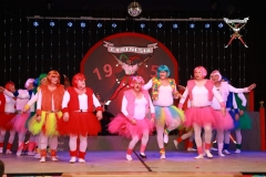 200117_Prunksitzung-2-370