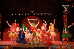 200117_Prunksitzung-2-373