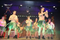 260117_Prunksitzung-3-440_klein