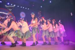 260117_Prunksitzung-3-443_klein