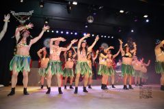 260117_Prunksitzung-3-454_klein