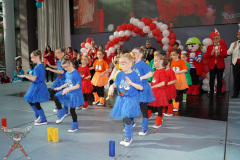 A7305509-Playmobil