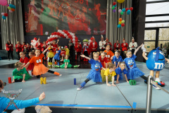 A7305516-Playmobil