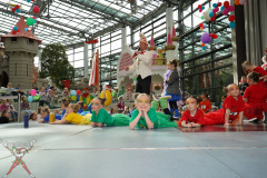A7305521-Playmobil