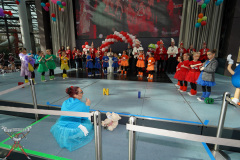 A7305524-Playmobil