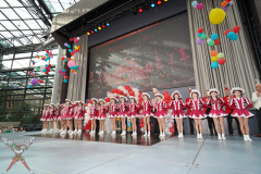 A7305537-Playmobil