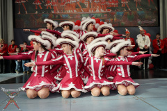 A7305542-Playmobil