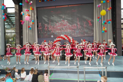 A7305547-Playmobil