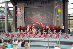 A7305550-Playmobil