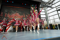 A7305556-Playmobil