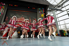 A7305559-Playmobil