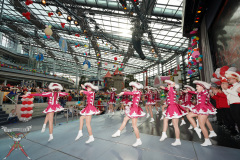 A7305564-Playmobil