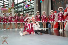 A7305579-Playmobil