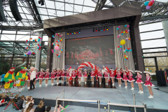 A7305580-Playmobil