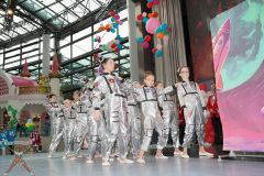 A7305653-Playmobil
