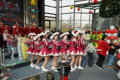 A7305695-Playmobil
