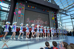 A7305035-Playmobil
