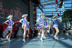 A7305037-Playmobil