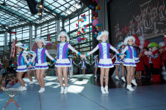 A7305045-Playmobil