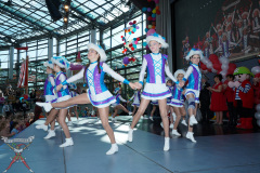 A7305047-Playmobil