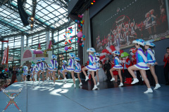 A7305049-Playmobil