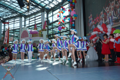 A7305052-Playmobil