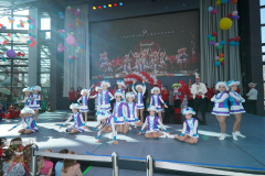 A7305058-Playmobil