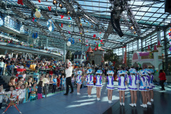 A7305063-Playmobil