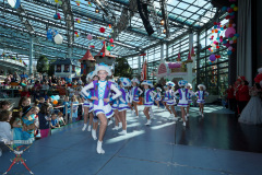 A7305067-Playmobil