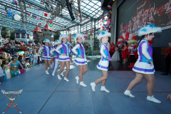 A7305069-Playmobil