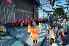 A7305081-Playmobil