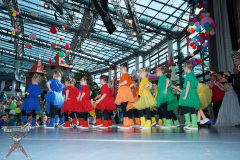 A7305089-Playmobil