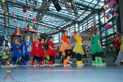 A7305091-Playmobil