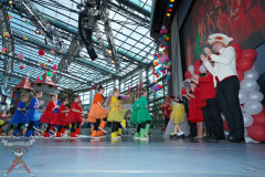 A7305092-Playmobil