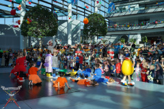 A7305108-Playmobil