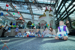 A7305109-Playmobil