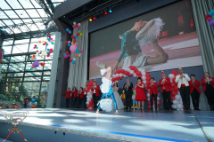 A7305122-Playmobil